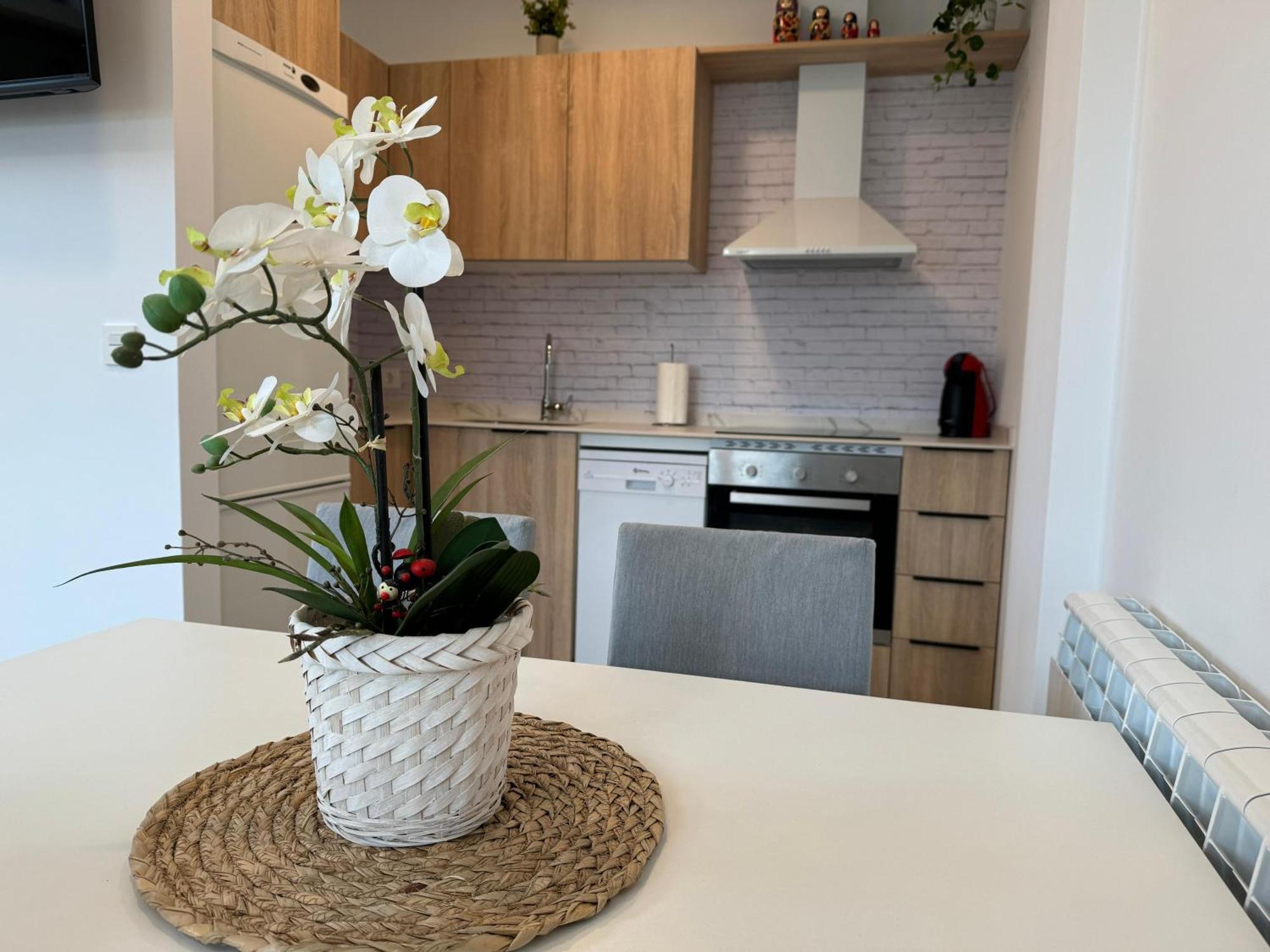 Apartamentos Montejurra Ayegui Екстер'єр фото